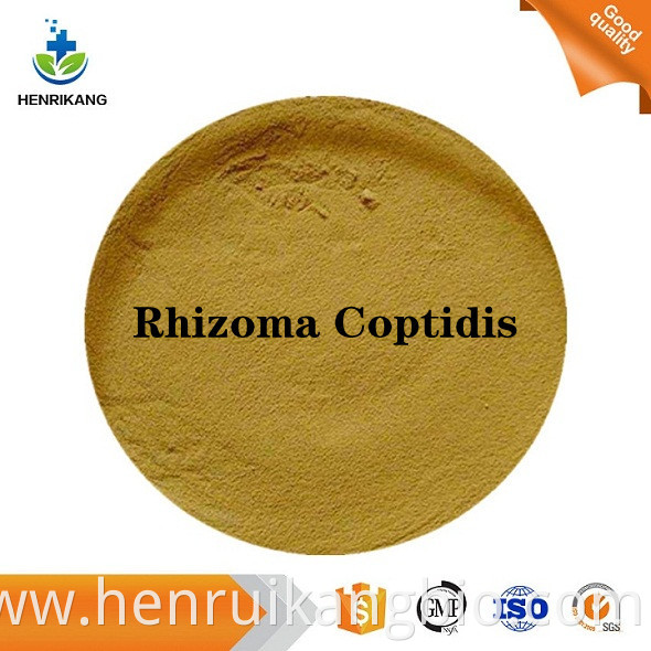Rhizoma Coptidis powder